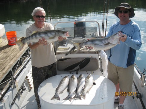 Nice Striped Bass